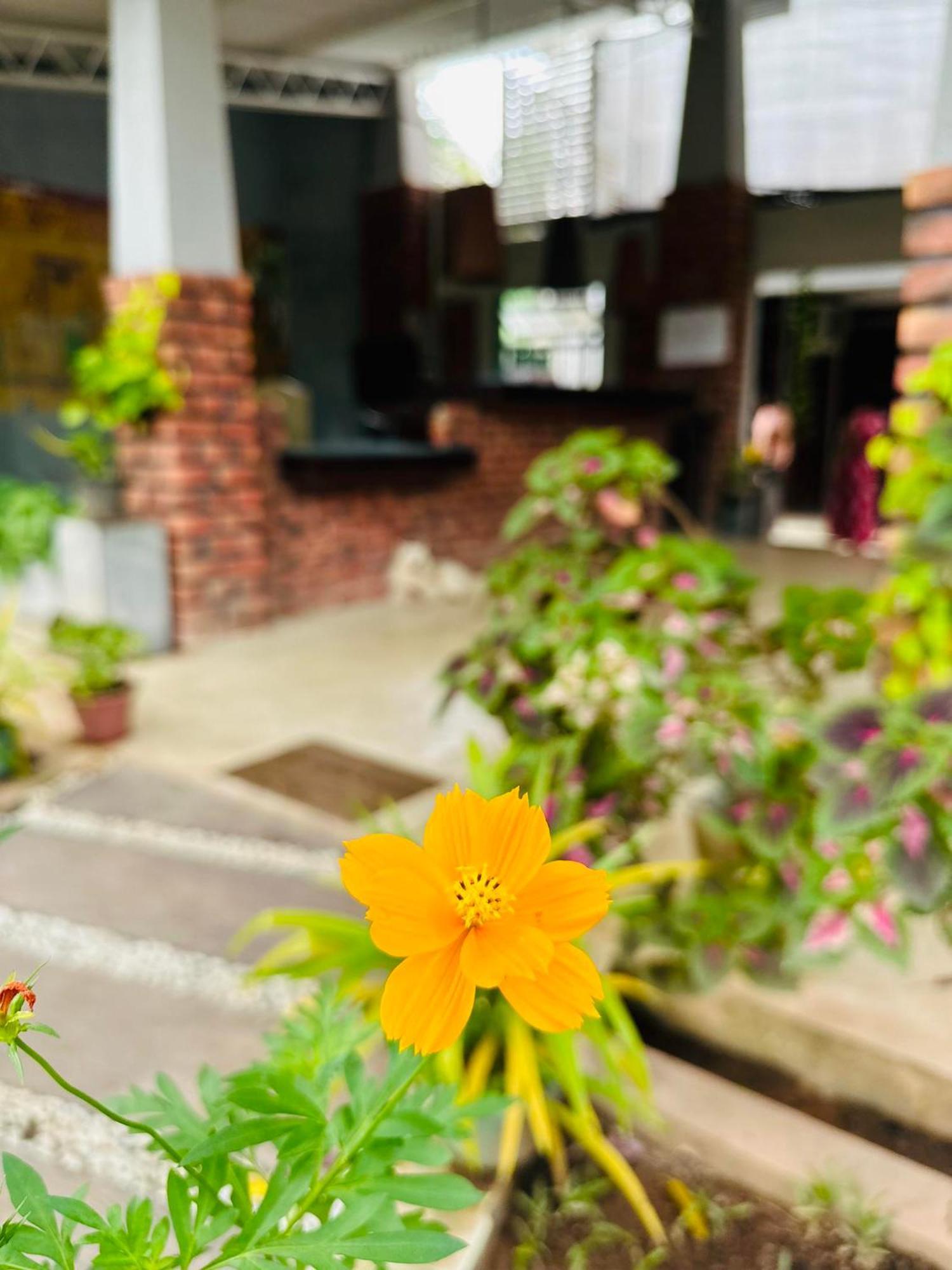 Lanka Bangla Inn Villas Restaurant & Travels Katunayake Exterior photo